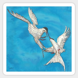 Arctic Terns Sticker